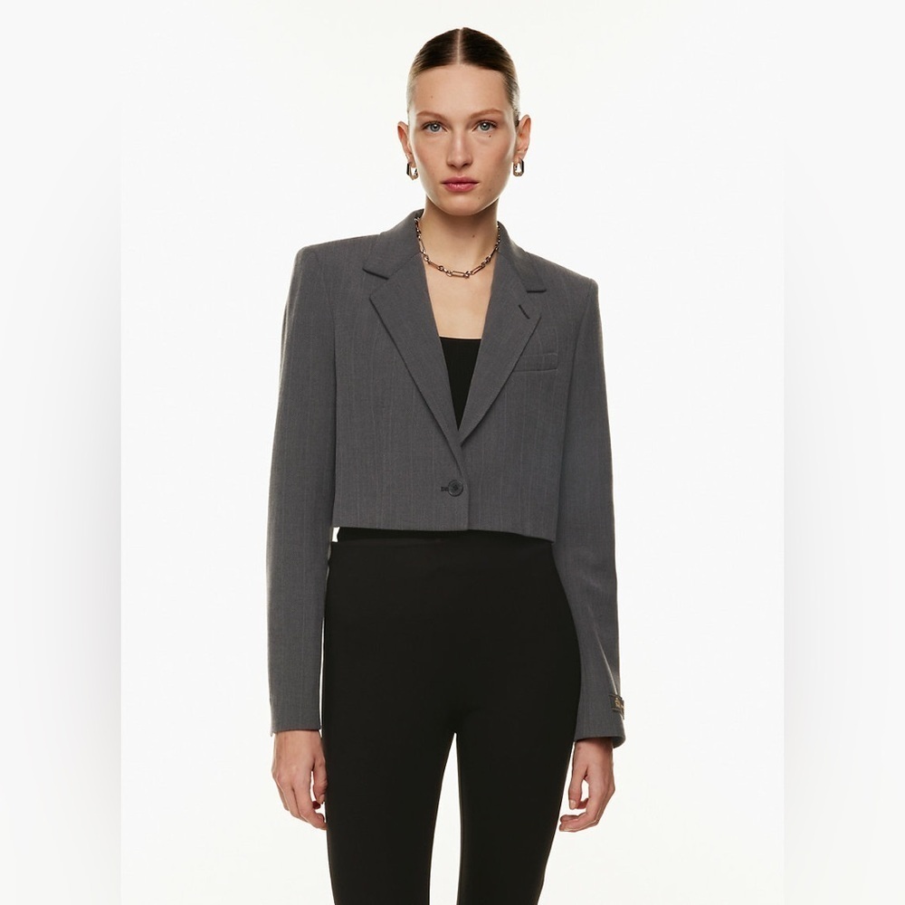 Aritzia Babaton Arbus Blazer